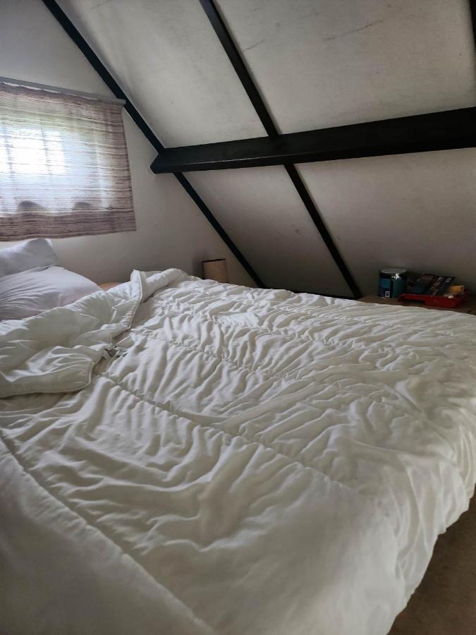 Maison Sunpark Oostduinkerk 550 Villa Koksijde Eksteriør billede